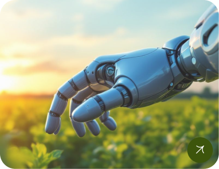 INNOFarms.AI's integrated agri-tech ecosystem aims to revolutionise sustainable food production